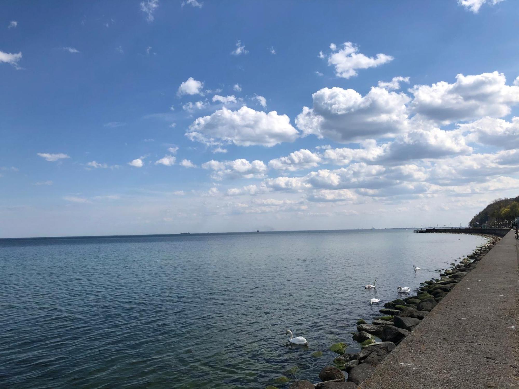 Апартаменти Gdynia Kamienna Gora Екстер'єр фото